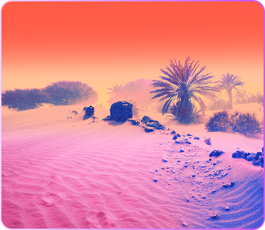 desert